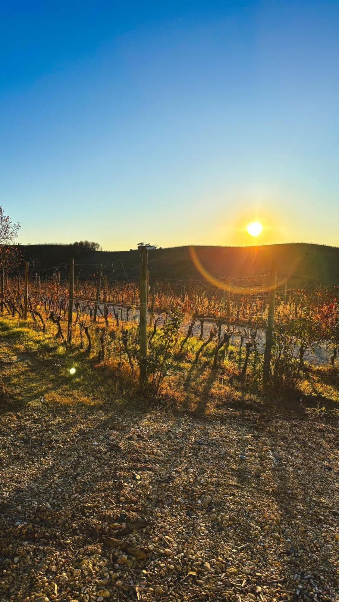 Tenuta Agricola La Cava- Cantina E Agriturismo San Damiano dʼAsti 外观 照片