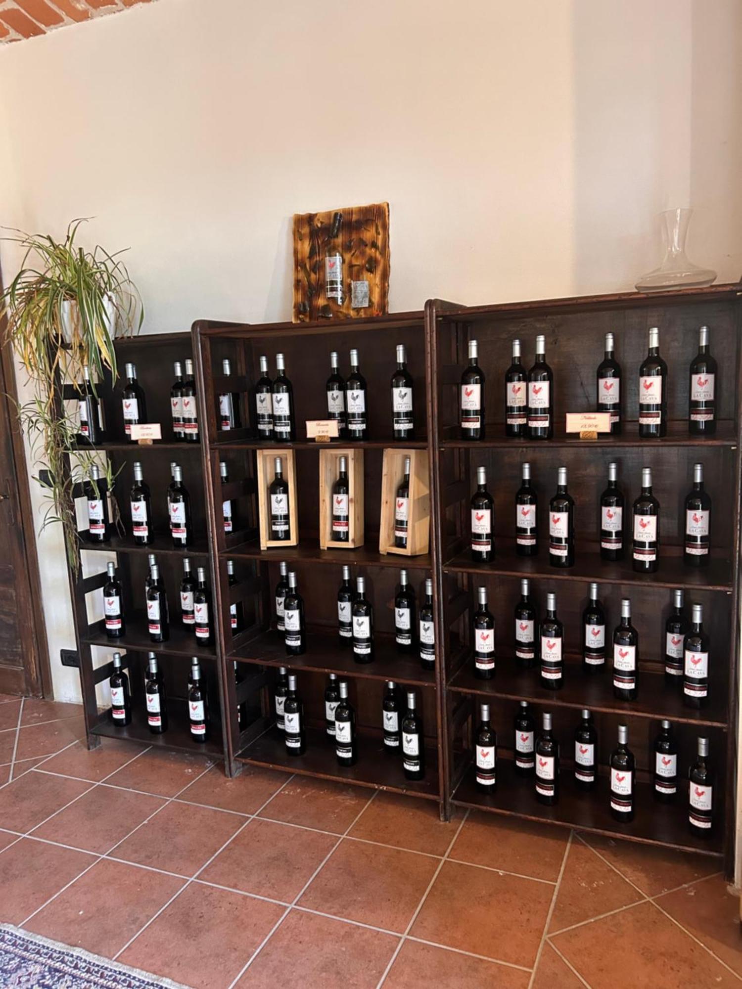Tenuta Agricola La Cava- Cantina E Agriturismo San Damiano dʼAsti 外观 照片