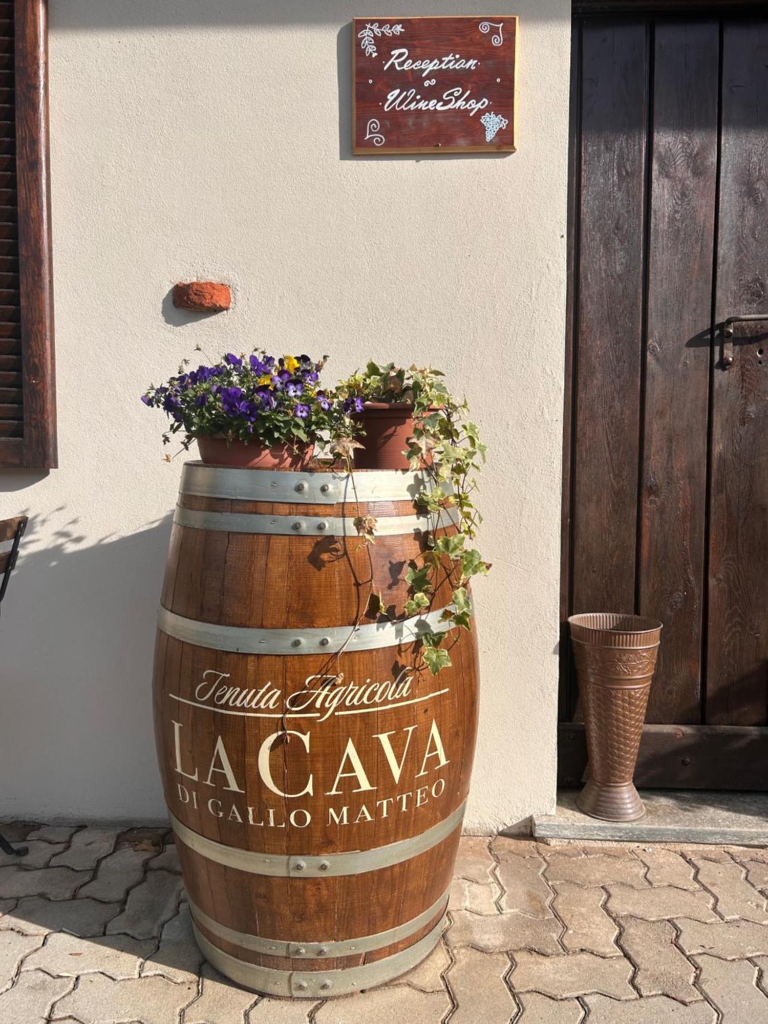 Tenuta Agricola La Cava- Cantina E Agriturismo San Damiano dʼAsti 外观 照片