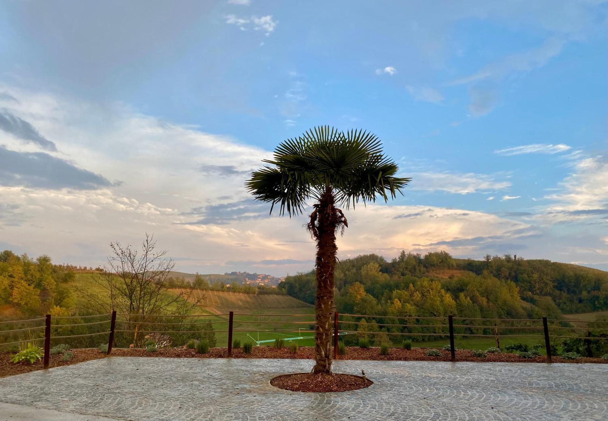 Tenuta Agricola La Cava- Cantina E Agriturismo San Damiano dʼAsti 外观 照片